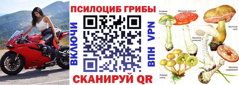 Псилоцибиновые грибы мицелий  darknet какой сайт  Пыталово  закладка 